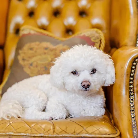 Vakantiehuis 7 Bed In Cockermouth 77660 Ullock