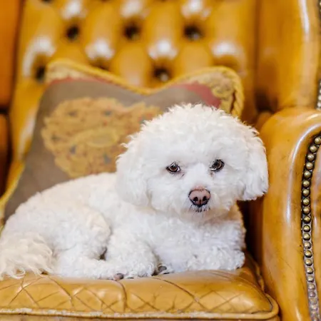 度假居 7 Bed In Workington Oc-77660